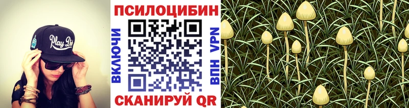 купить наркоту  Переславль-Залесский  нарко площадка телеграм  Галлюциногенные грибы Cubensis 