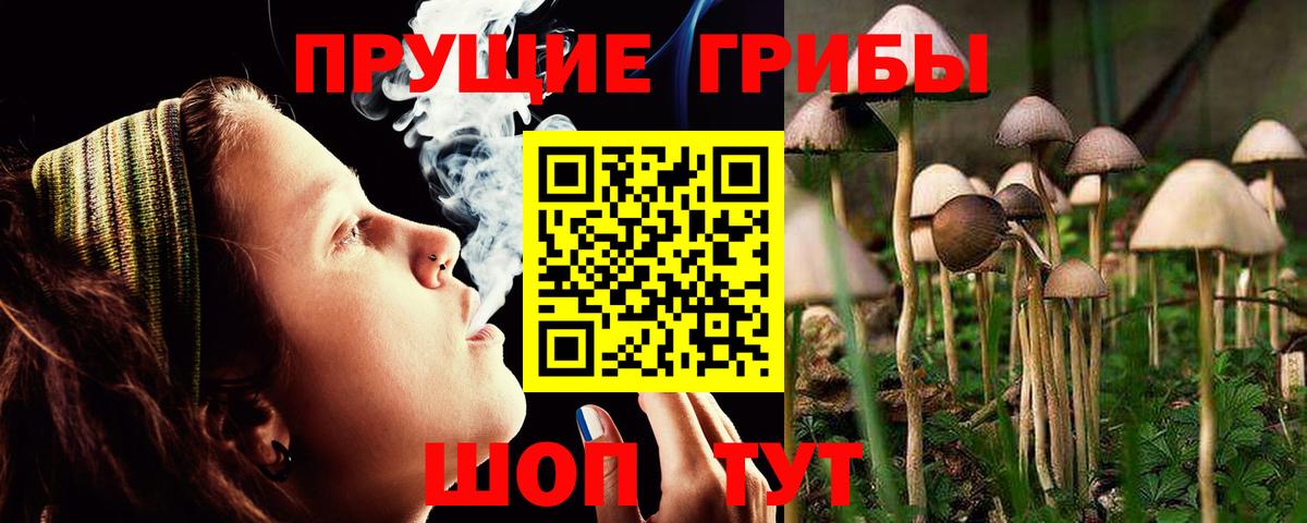 Переславль-Залесский  Галлюциногенные грибы мухоморы  Вход с VPN 